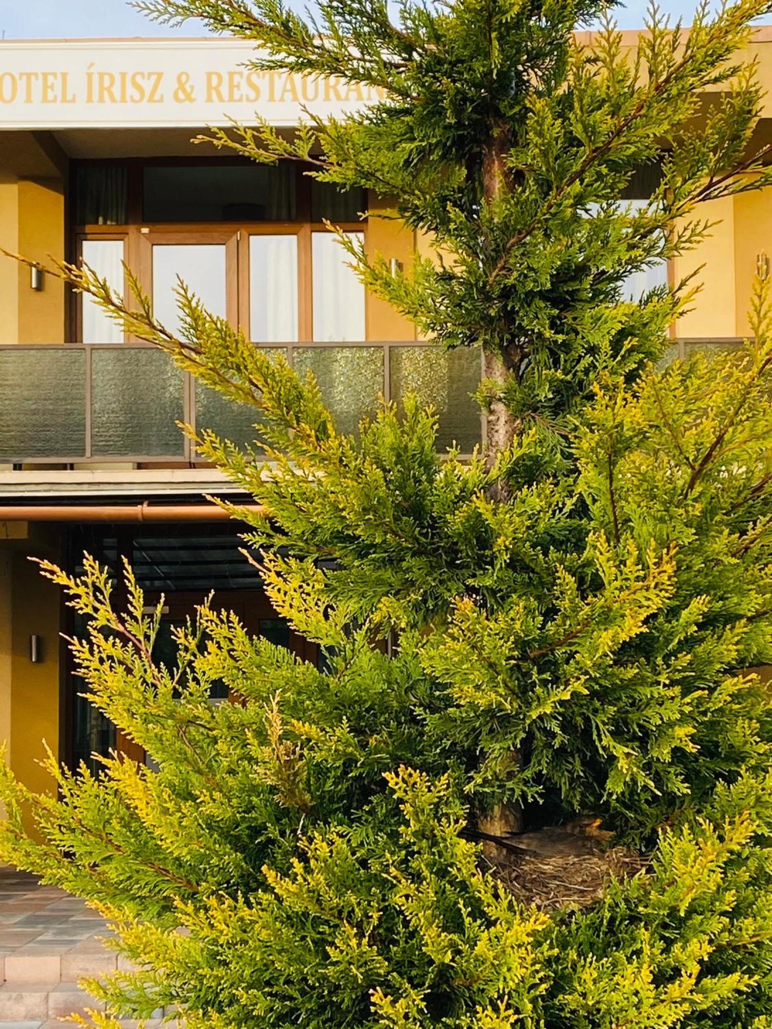 Hotel Irisz Mestecǎneşti Exterior foto