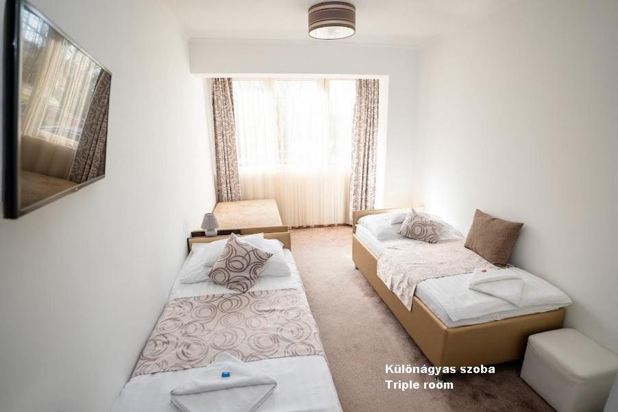 Hotel Irisz Mestecǎneşti Exterior foto